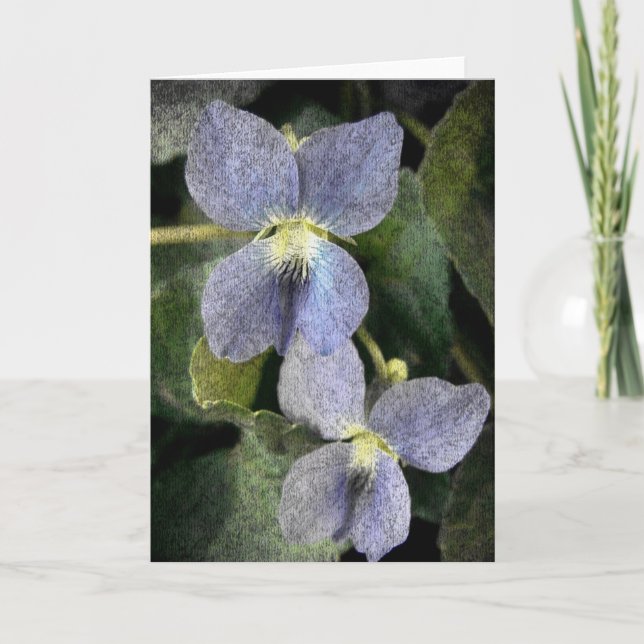 Cartão Violetas Selvagens (Frente)