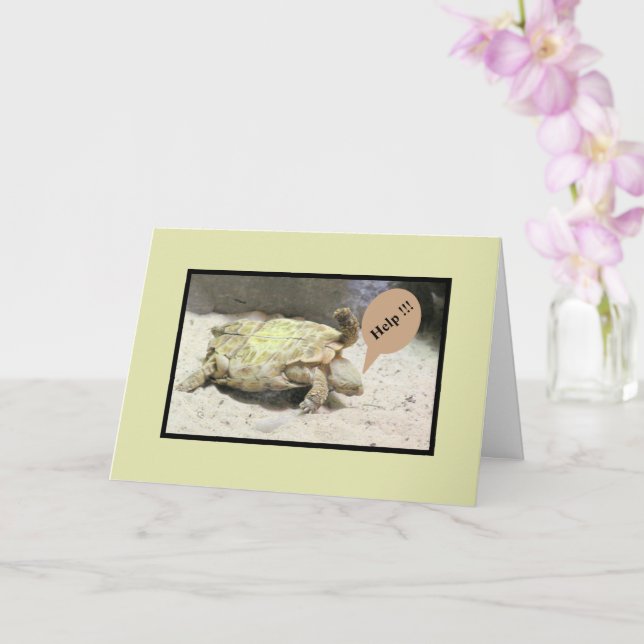 CARTÃO VIRAR/DESCULPAR O SEU ACIDENTE/HUMO (Orquídea)