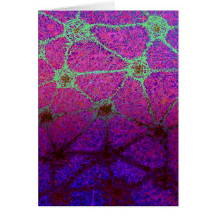 Cartão Vírus Geodesic 2 do Aqua