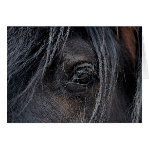 Cartão Visão aciganada II