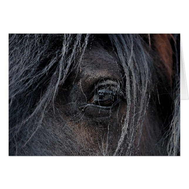 Cartão Visão cigana II (Frente horizontal)