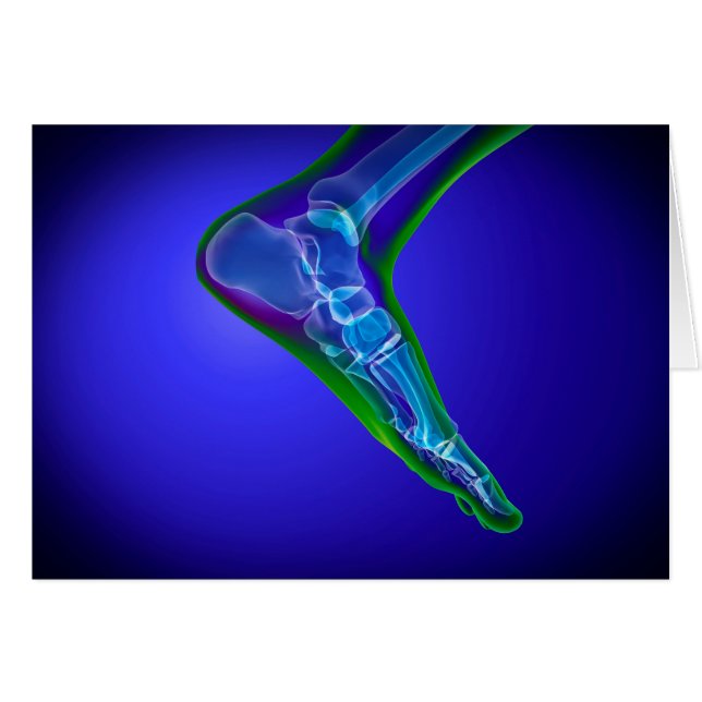 Cartão Visão De Raios X Do Pé Humano 1 (Frente Horizontal)