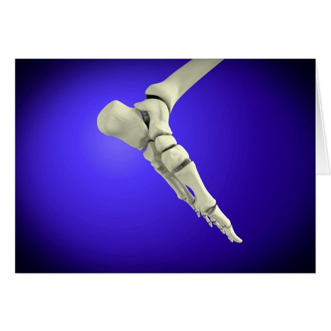 Cartão Visão De Raios X Do Pé Humano 2 (Frente Horizontal)