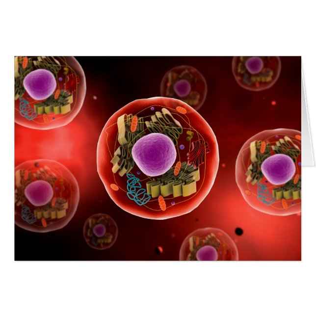 Cartão Visão Microscópica Da Célula Animal 2 (Frente Horizontal)