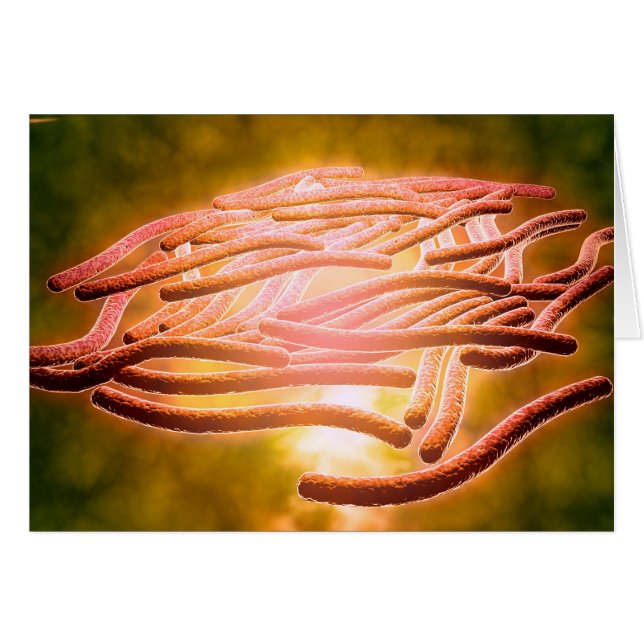 Cartão Visão Microscópica Da Legionella Pneumophila 2 (Frente Horizontal)