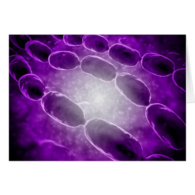Cartão Visão Microscópica Da Pneumonia Bacteriana 2 (Frente Horizontal)