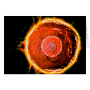 Cartão Visão Microscópica Das Células B Humanas 3