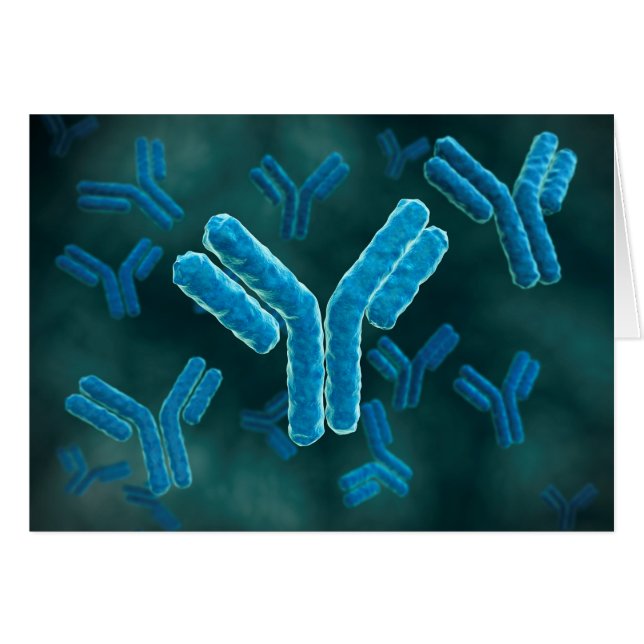 Cartão Visão Microscópica Das Moléculas De Imunoglobulina (Frente Horizontal)
