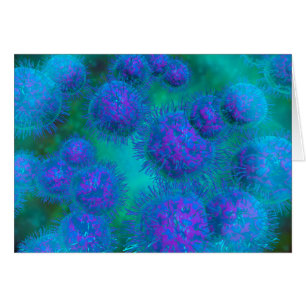 Cartão Visão Microscópica De Diplococcus Bacterium