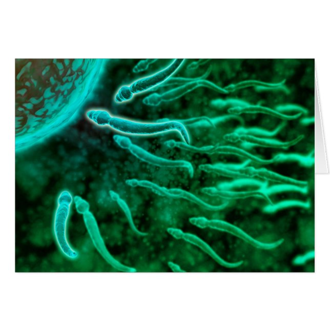 Cartão Visão Microscópica De Esperma Nadando Em Direção A (Frente Horizontal)