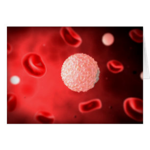 Cartão Visão Microscópica De Glóbulos Brancos