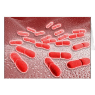 Cartão Visão Microscópica De Listeria Monocytogenes 4