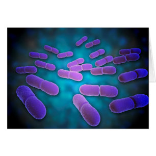 Cartão Visão Microscópica De Listeria Monocytogenes 5