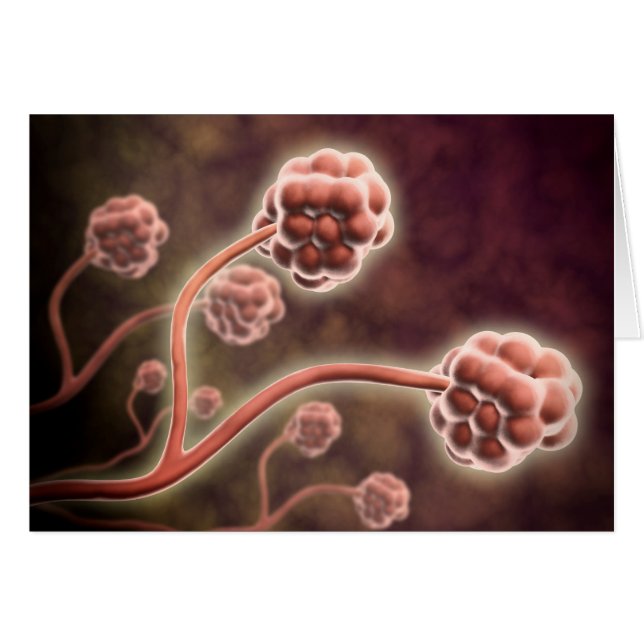 Cartão Visão Microscópica De Stachybotrys Chartarum (Frente Horizontal)