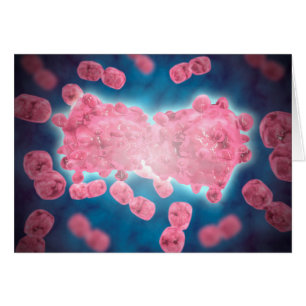 Cartão Visão Microscópica De Um Grupo De Células De Leuce