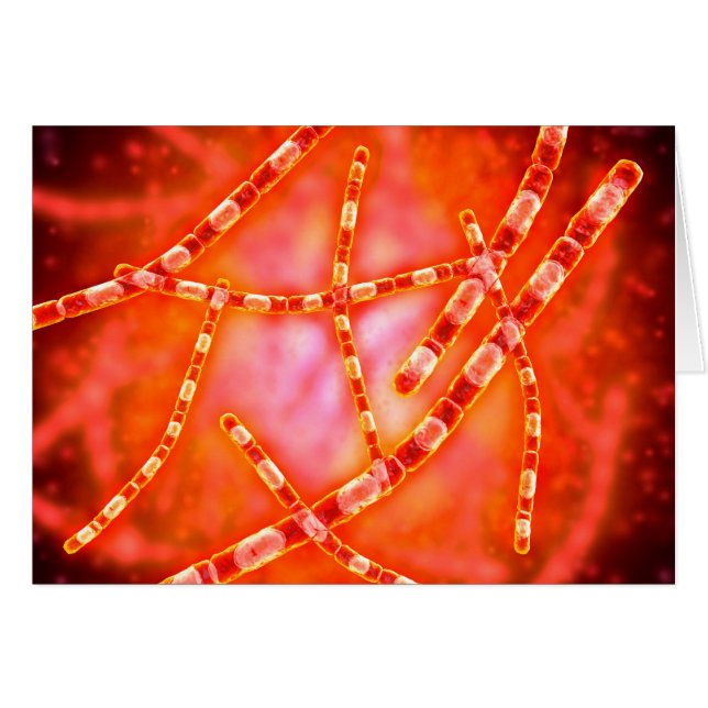 Cartão Visão Microscópica Do Antraz 1 (Frente Horizontal)