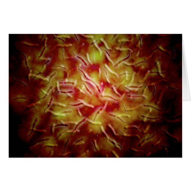 Cartão Visão Microscópica Do Esperma (Frente Horizontal)