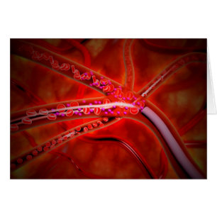 Cartão Visão Microscópica Do Medicamento Injetado