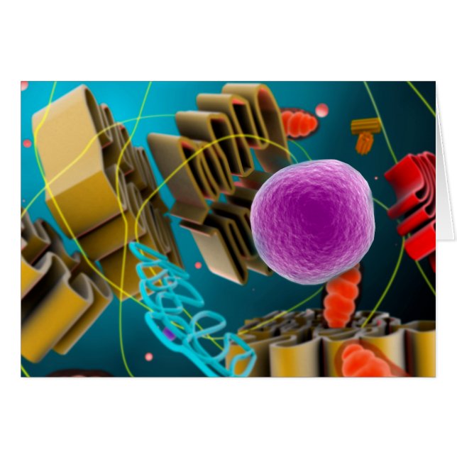 Cartão Visão Microscópica Do Núcleo De Células Animais (Frente Horizontal)