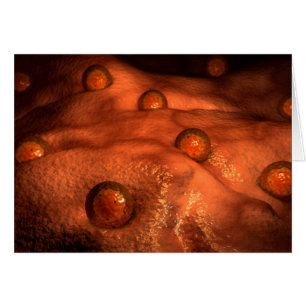 Cartão Visão Microscópica Dos Óvulos