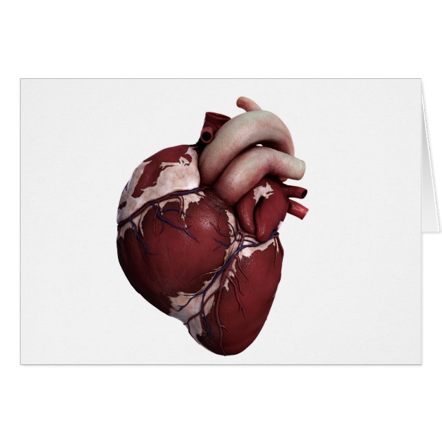 Cartão Visão Tridimensional Do Coração Humano, Frente (Frente Horizontal)