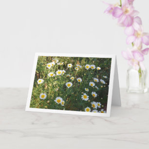 Cartão Visitas Comuns na Grama