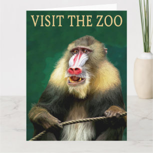 Cartão Visite o Mandril no Zoológico