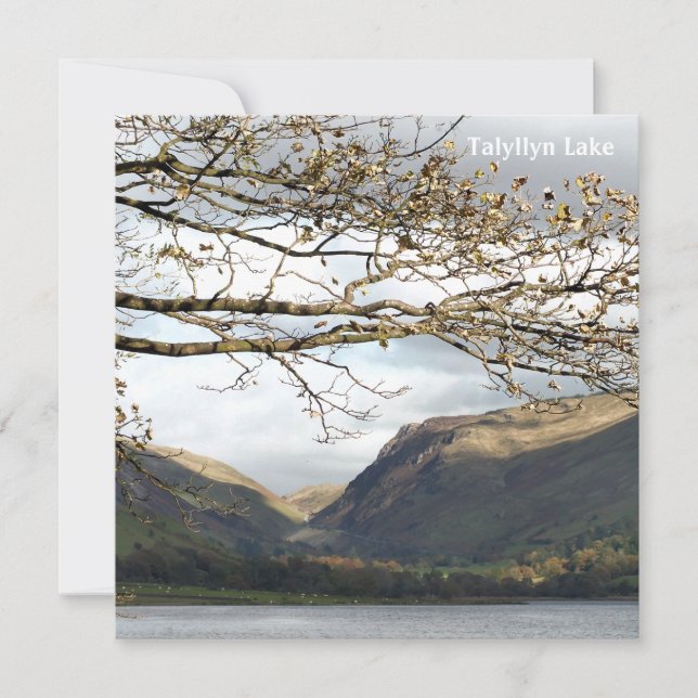 CARTÃO VISÕES DAS PAREDES (Frente)