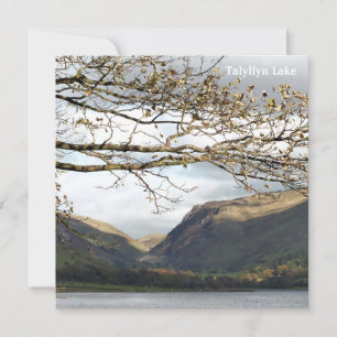 CARTÃO VISÕES DAS PAREDES