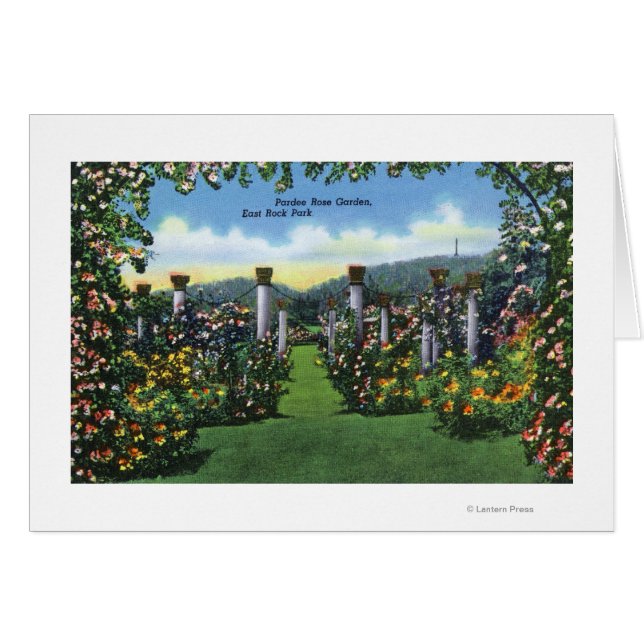 Cartão Vista aérea do estádio Yale Bowl, Yale U (Frente Horizontal)