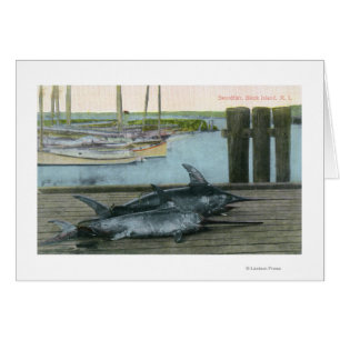 Cartão Vista de Dois Espadarte