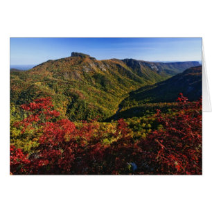 Cartão Vista de outono da Linville Gorge frequentemente c