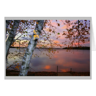 Cartão vista de pássaro