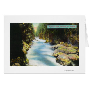 Cartão Vista de Seymour Canyon