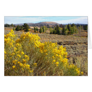 Cartão Vista de Yellowstone