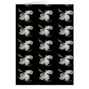 Cartão Vista do Lado do Flor do Hibiscus Branco