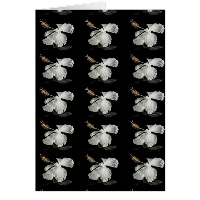 Cartão Vista do Lado do Flor do Hibiscus Branco (Frente)