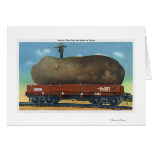 Cartão Vista do tipo de batatas criadas no Maine