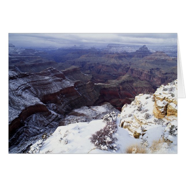 Cartão vista elevada (Frente Horizontal)