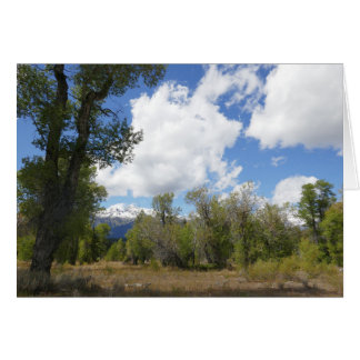 Cartão Vista Ensolarada da Montanha Grand Teton
