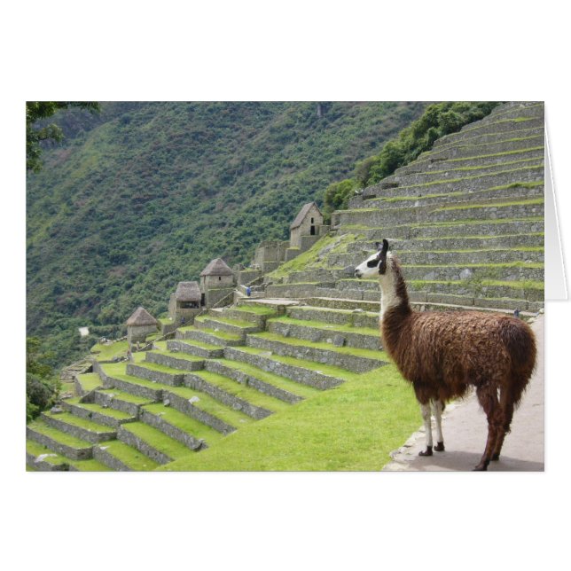 Cartão vista machu lama (Frente Horizontal)