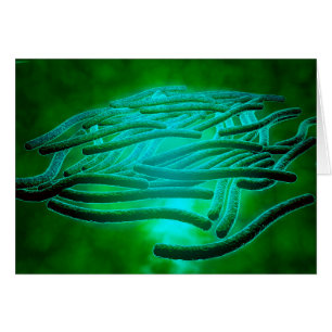 Cartão Vista microscópica de Legionella Pneumophila 1