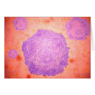 Cartão Vista Microscópica Do Parvovírus Canino 2