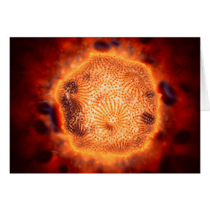 Cartão Vista Microscópica Do Parvovírus Canino 4