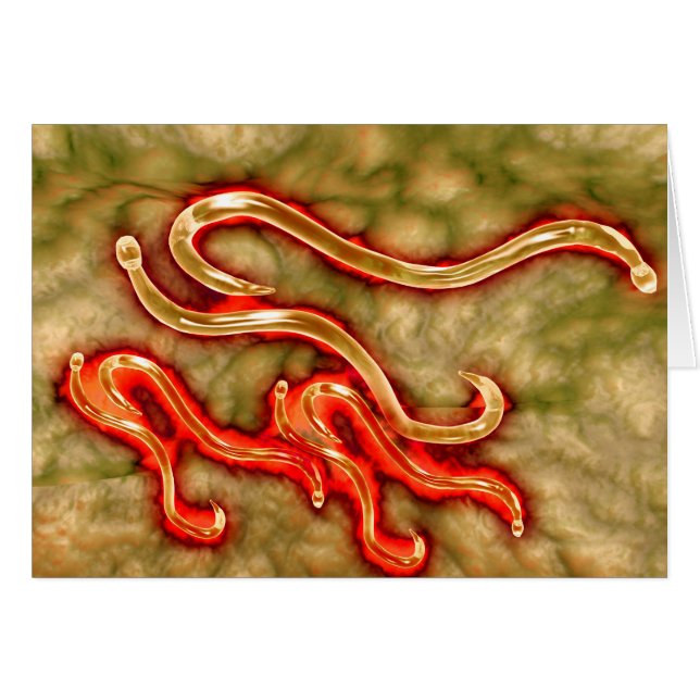 Cartão Vista Microscópica Do Vídeo-Adormecido 1 (Frente Horizontal)