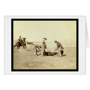 Cartão Vitelas de marcagem com ferro quente no