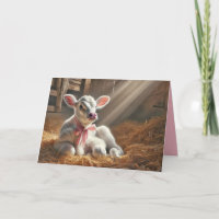 Vitelo Branco Em Sunny Barn Stall