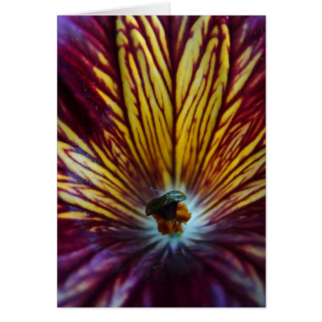 Cartão Vitraux (Frente)