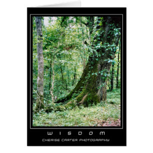 Cartão Viva e aprenda