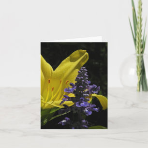 Cartão Vivid Daylily & Salvia Floral Note Card